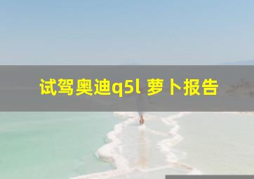 试驾奥迪q5l 萝卜报告